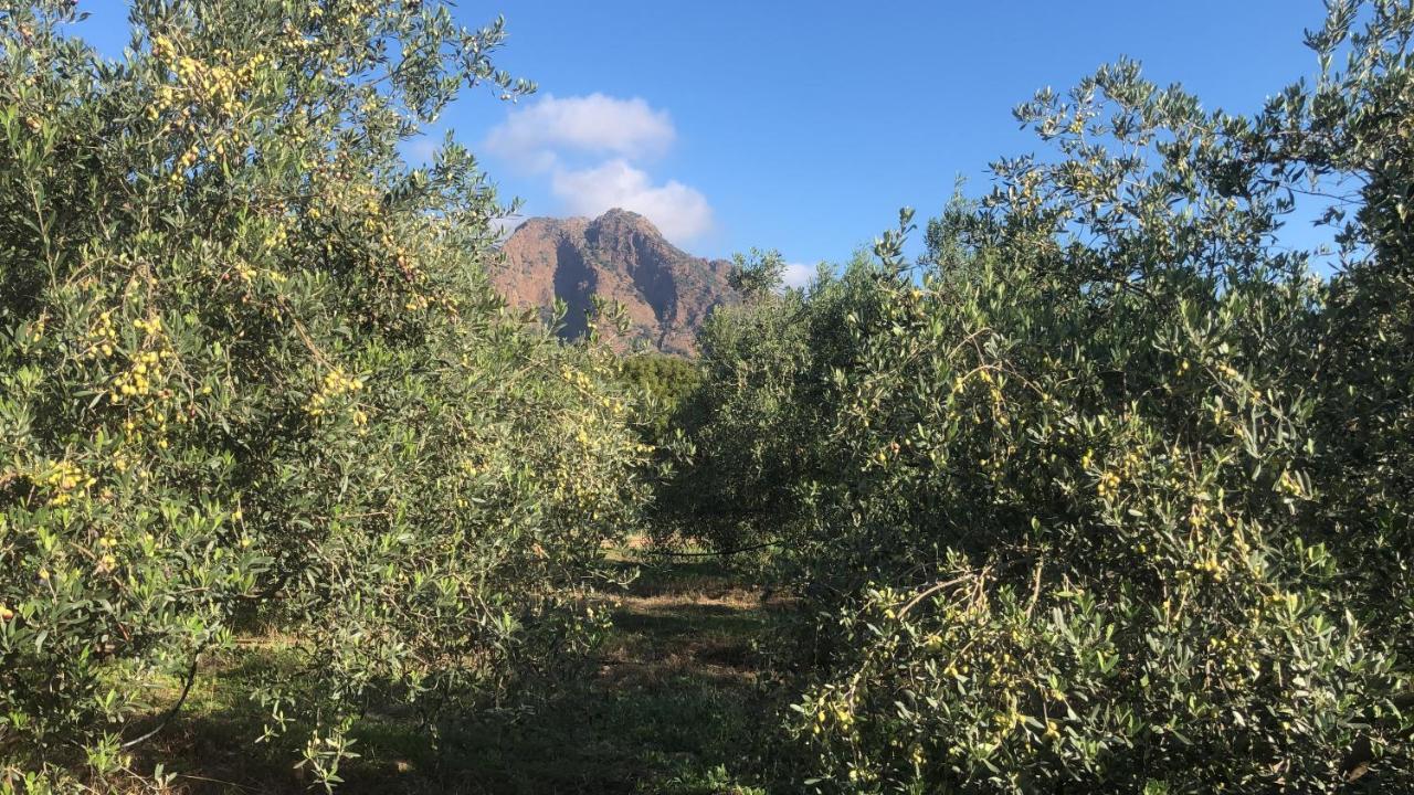 Su Cappeddu Agriturismo San Giorgio  Экстерьер фото