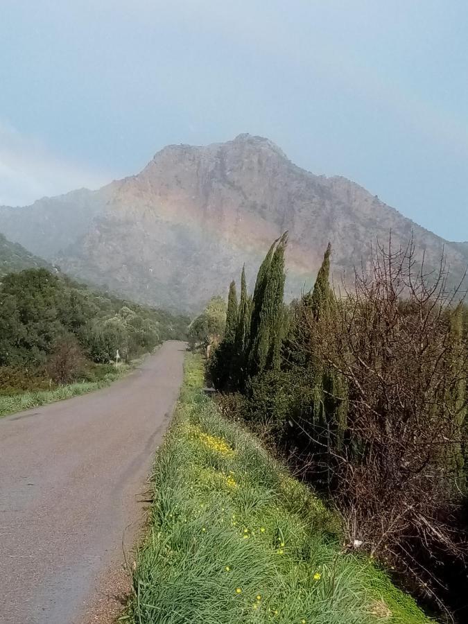 Su Cappeddu Agriturismo San Giorgio  Экстерьер фото